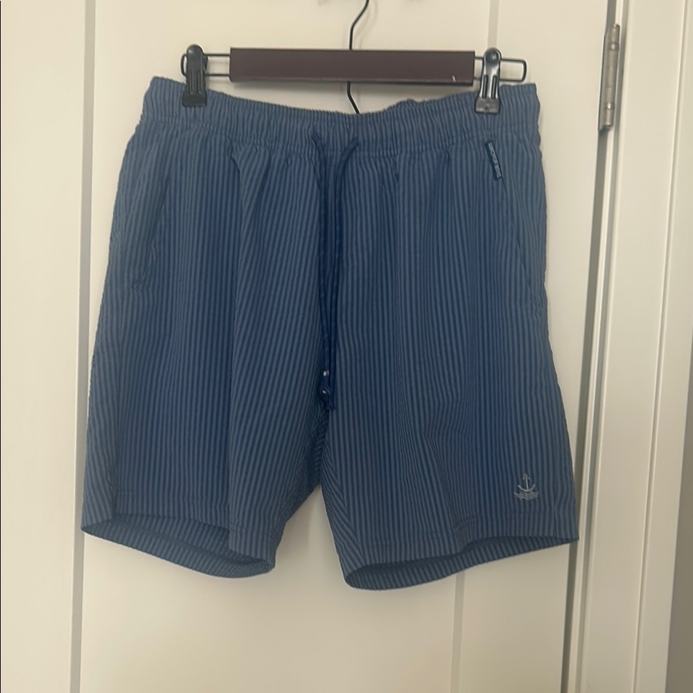 Blue Striped Shorts/swim suit